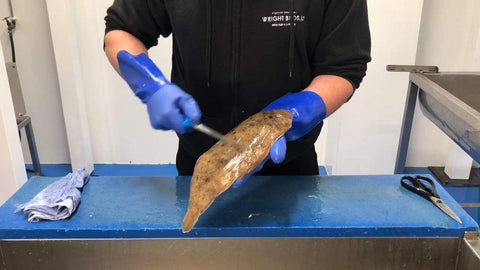 How to fillet Dover Sole