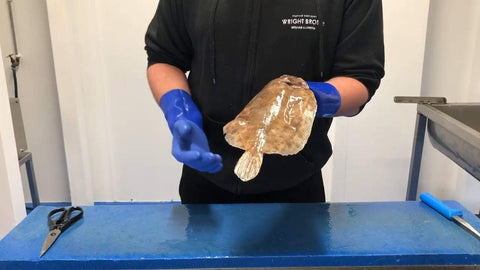 How To Fillet Lemon Sole