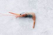 Hispamare Blue Belly Prawns