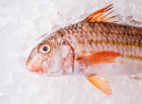 Whole Red Mullet
