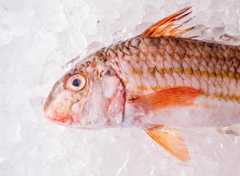Whole Red Mullet