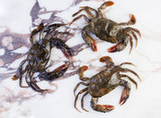 Soft Shell Crabs