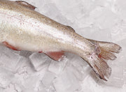 Whole Rainbow Trout