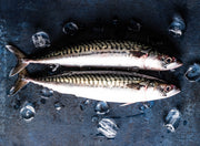 Fresh Mackerel Whole 500g pack