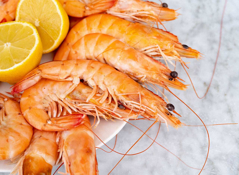 Crevettes, cooked shell on King Prawns (Frozen)