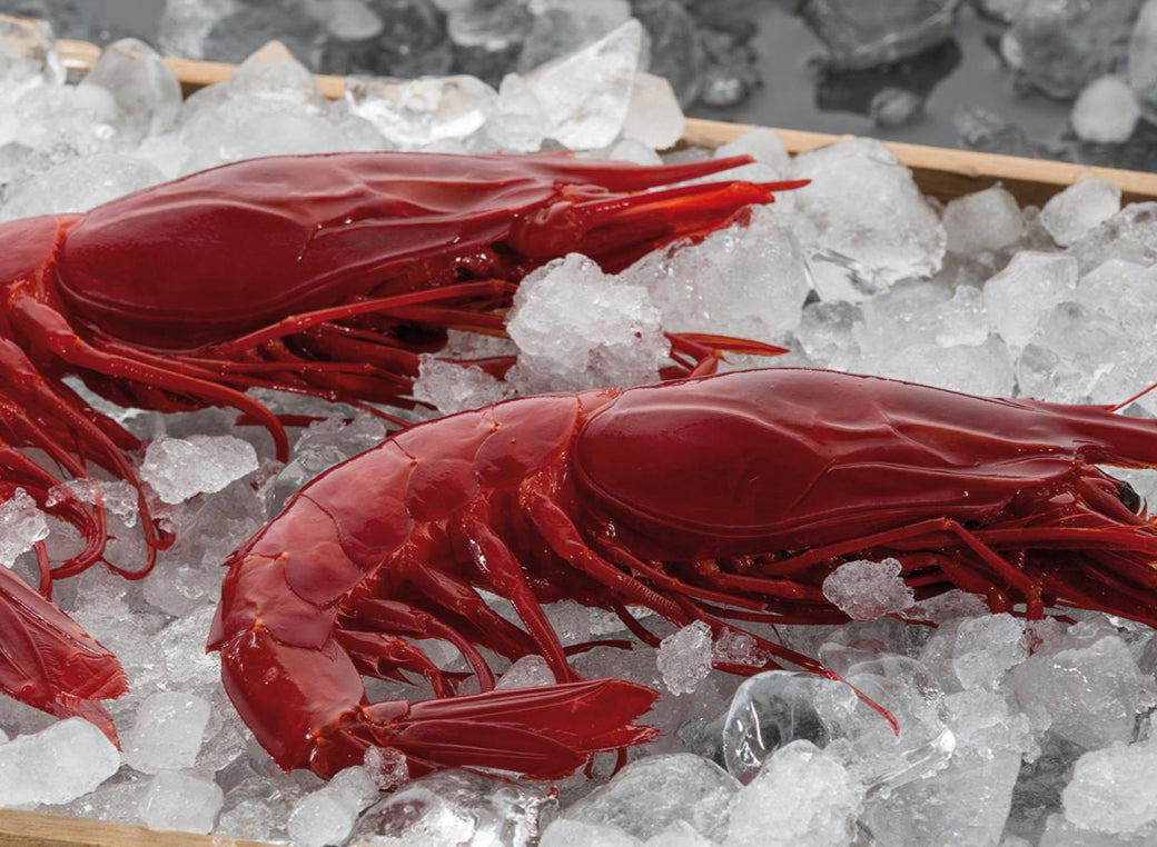 Carabineros shrimp store