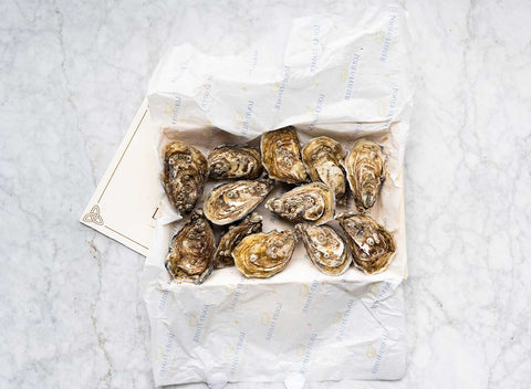 Louët-Feisser Oysters