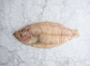 Whole Megrim Sole