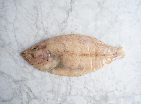 Whole Megrim Sole