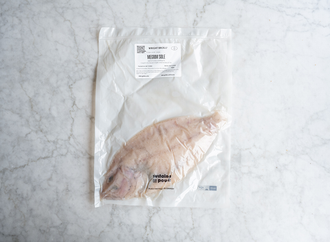 Whole Megrim Sole