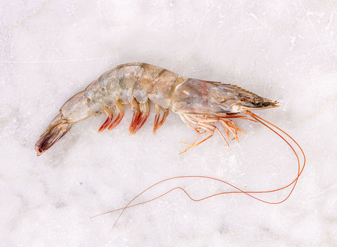 Raw Shell-on King Prawns
