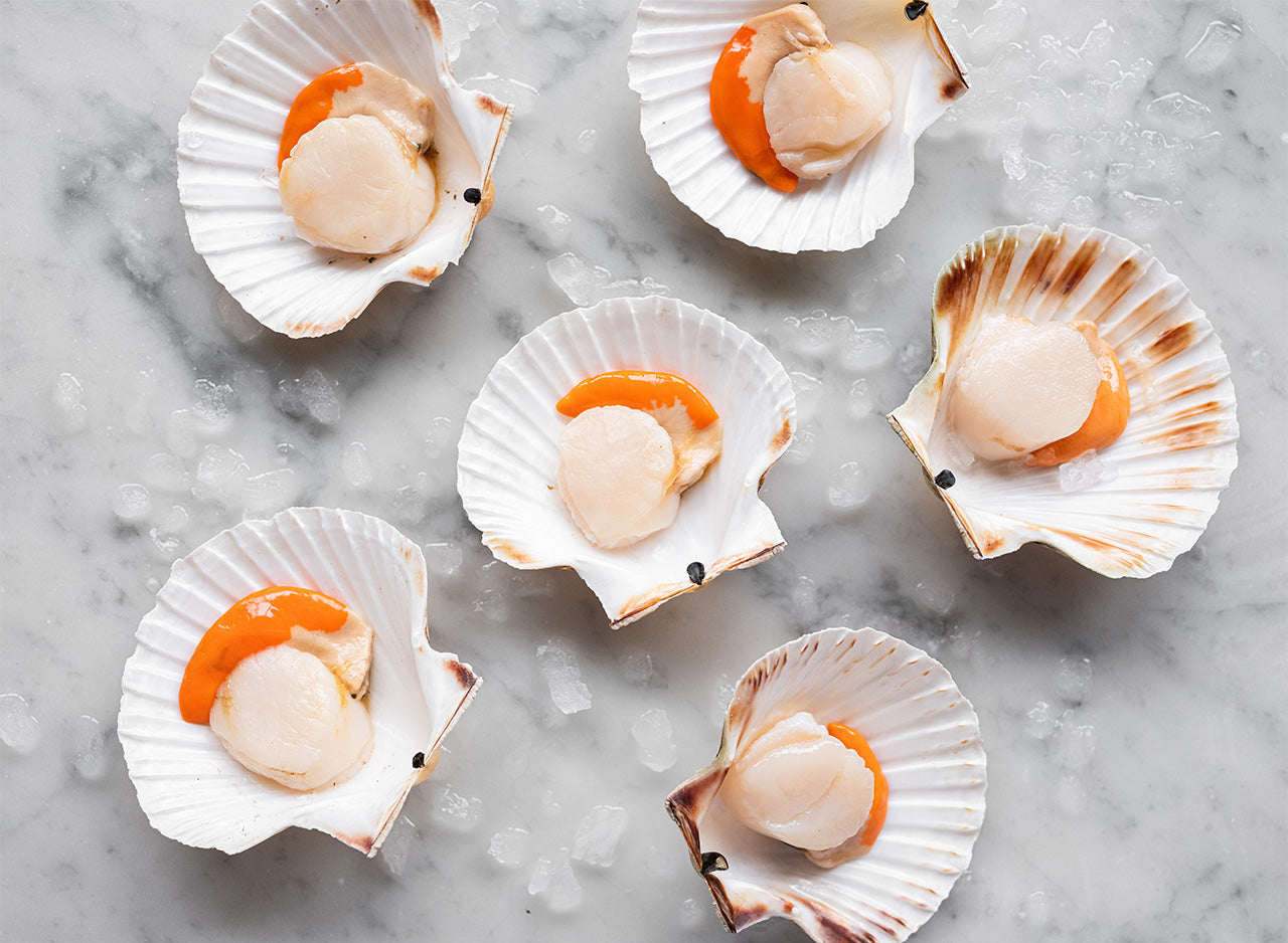 Fresh Scallops in Shells - Fresh Seafood Online - Wright Brothers