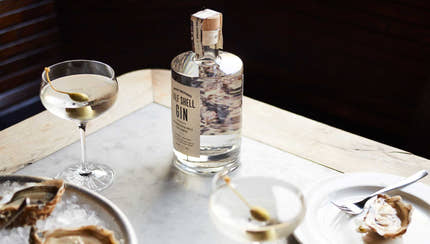 Introducing Half Shell Gin