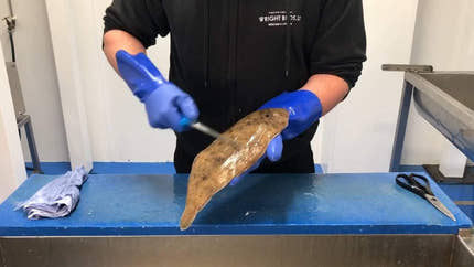 How to fillet Dover Sole