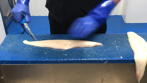 How to fillet Haddock