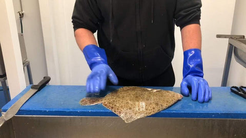 How to Fillet Turbot