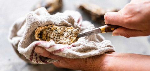 How to Shuck Oysters like a Pro