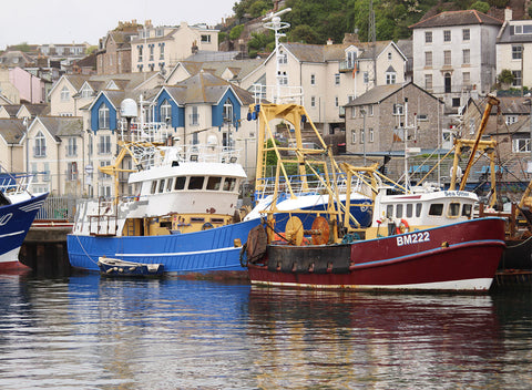 BRIXHAM, OUR HARBOUR OF HERITAGE