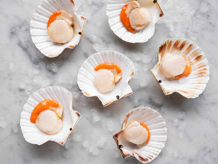 Scallop gratin with Comte and breadcrumbs