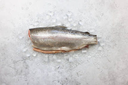 Whole Fresh Steelhead Trout