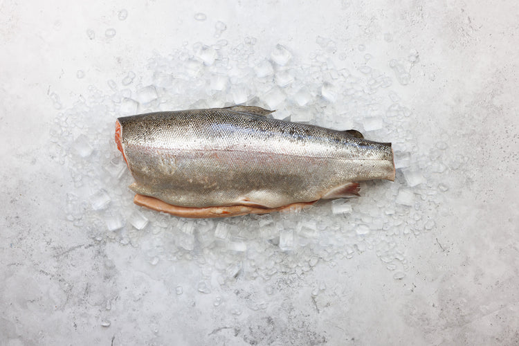 Whole Fresh Steelhead Trout