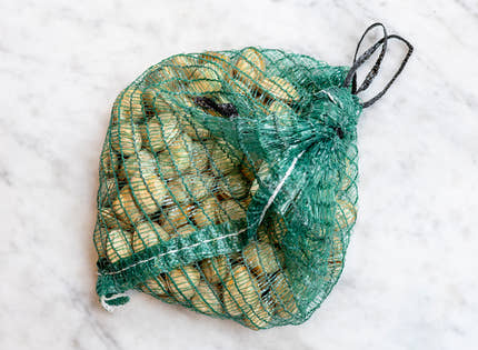 Fresh Live Surf Clams 900g to 1kg