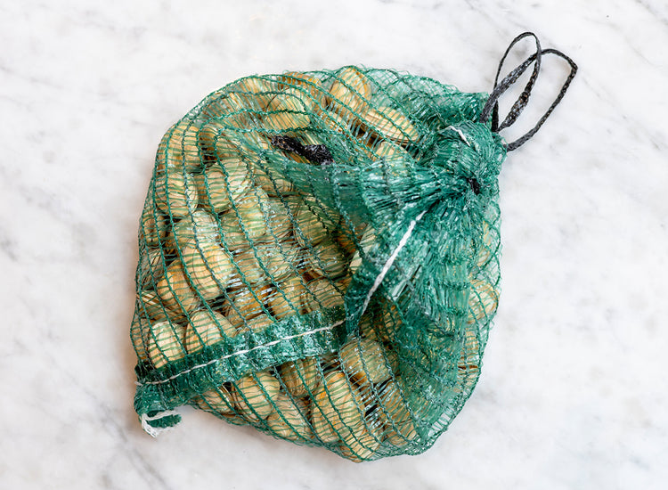 Fresh Live Surf Clams 900g to 1kg