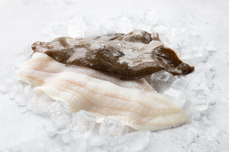 Brill Fillets x 2