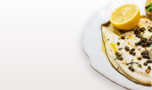 Turbot, Brill &Plaice