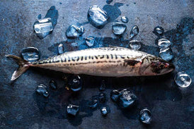 Fresh Whole Fish