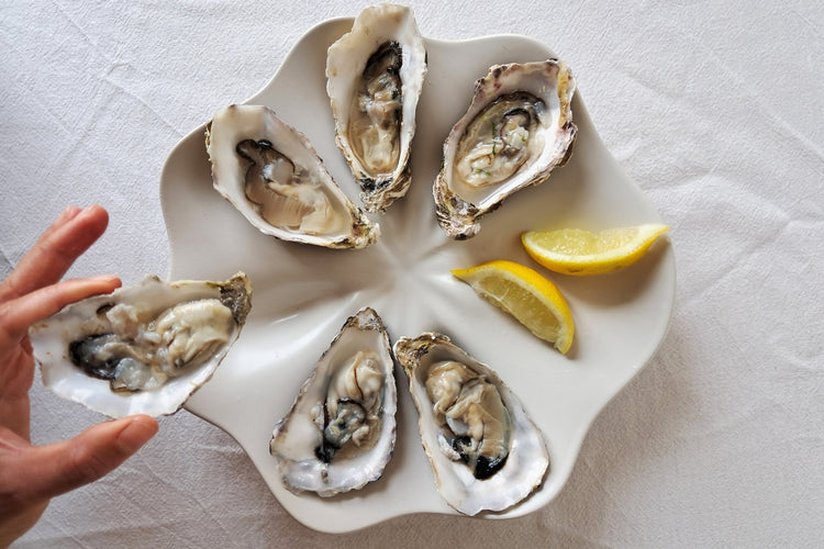 Oyster Serving Plate