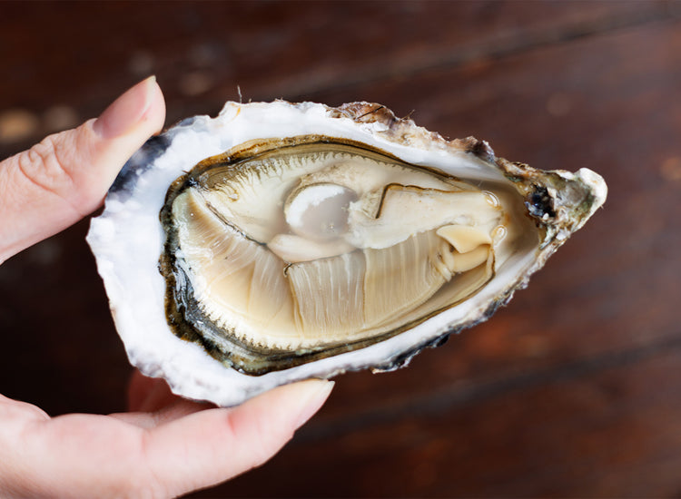 Louët-Feisser Oysters x 12