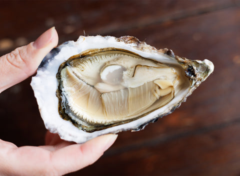 Louët-Feisser Oysters