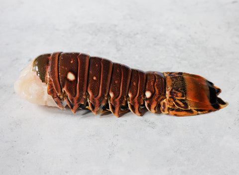 Wild Caribbean Rock Lobster Tail (Frozen)