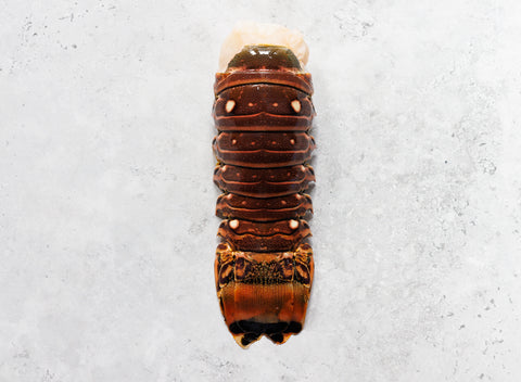 Wild Caribbean Rock Lobster Tail (Frozen)