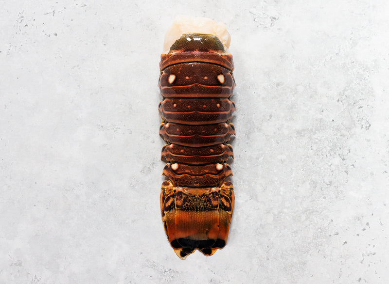 Wild Caribbean Rock Lobster Tail (Frozen)