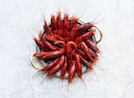 Carabineros