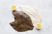 Turbot Fillets x 2