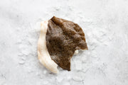 Turbot Fillets x 2
