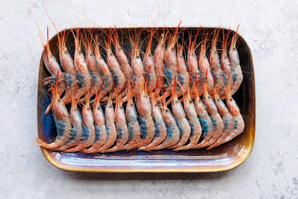Hispamare Blue Belly Prawns