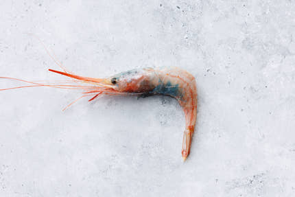 Hispamare Blue Belly Prawns