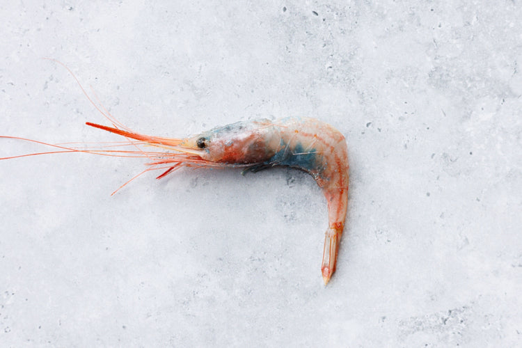 Hispamare Blue Belly Prawns
