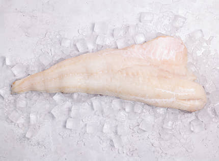 Whole Side of Cod