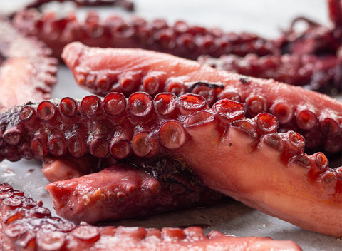 Cooked Whole Octopus