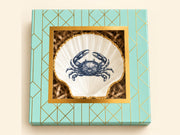 Periwinkle shells