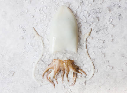 Cleaned Cuttlefish