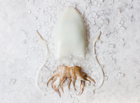 Cleaned Cuttlefish