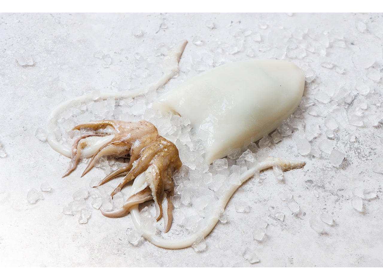 Cleaned Cuttlefish - Fresh Fish Online - Wright Brothers Home Delivery