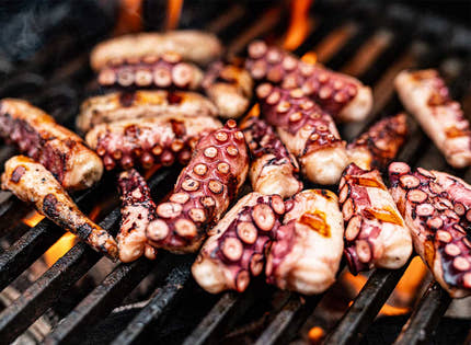 Cooked Whole Octopus
