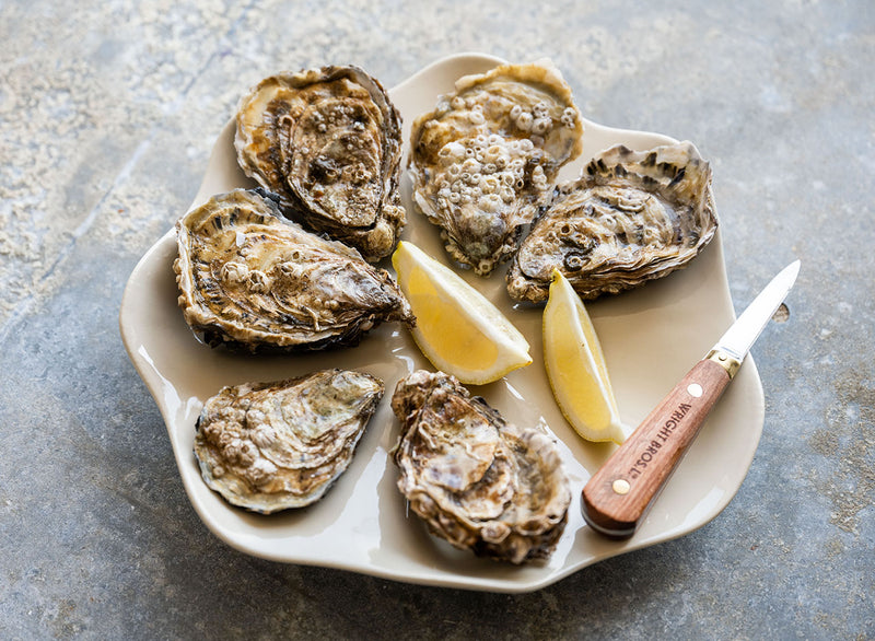 Oyster Serving Plate